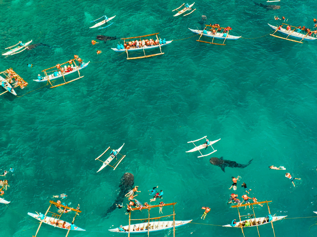 Филиппинд англи хэл сурах